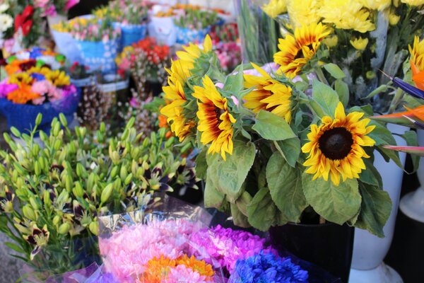 Bild vergr&ouml;&szlig;ern: Blumen Regionalmarkt